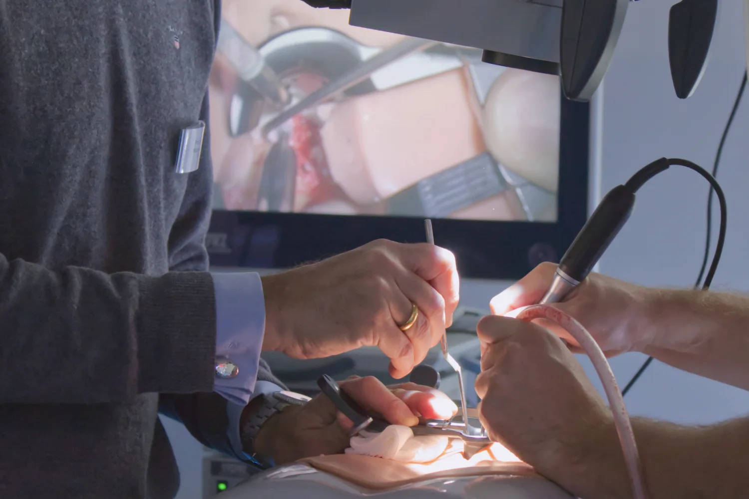 Haptic simulation
