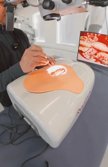 Diseño sin título - 1